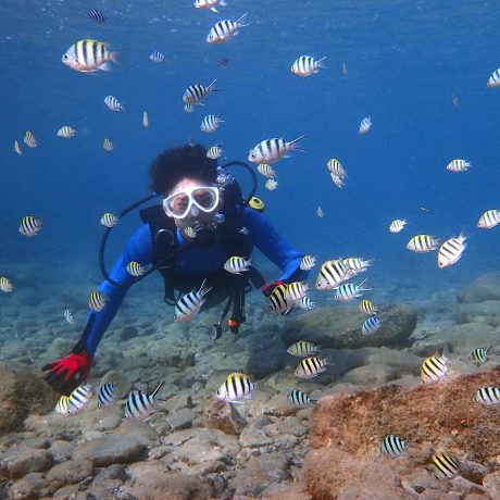ダイビング ダイブアンカープラスについて